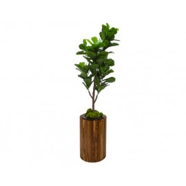 EXÓTICO EVER VERDE CON BASE GRANDE DE PAROTA (170×41cm)