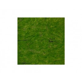 FOLLAJE ARTIFICIAL GREEN BOTTLE CONSERVADO (1M²)