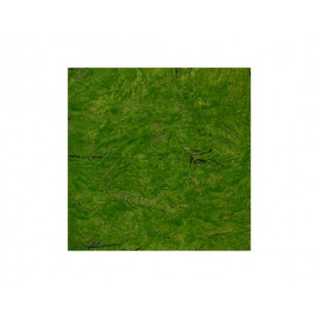 FOLLAJE ARTIFICIAL GREEN BOTTLE CONSERVADO (1M²)