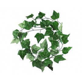 ENREDADERA COLGANTE DEVID VERDE (3mts)