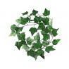 ENREDADERA COLGANTE DEVID VERDE (3mts)