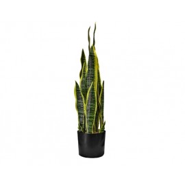 PLANTA ORQUÍDEA TIGRE (80cm)