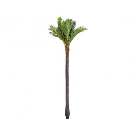 PALMERA DECORATIVA MADRID EXTRA GRANDE (5mts)