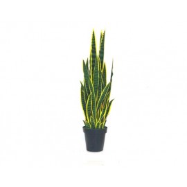 PLANTA ORQUÍDEA TIGRE (1.1mts)