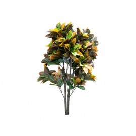 PLANTA SPRINKLE JIN RONG (1.5mts)
