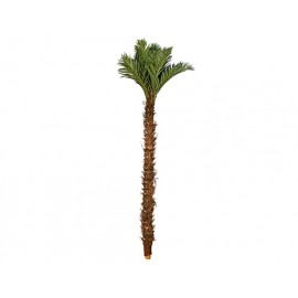 PALMERA DECORATIVA BARZA CON TALLOS EXTRA GRANDE (5mts)