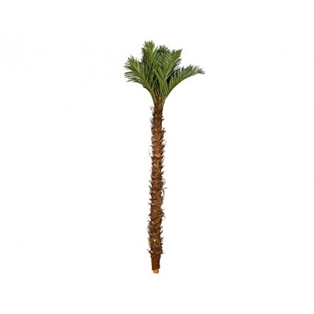 PALMERA DECORATIVA BARZA CON TALLOS EXTRA GRANDE (5mts)