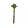 PALMERA DECORATIVA BARZA CON TALLOS EXTRA GRANDE (5mts)