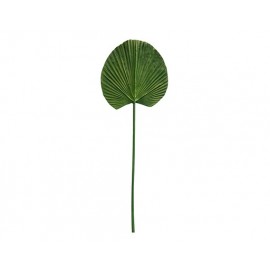 HOJA DE PALMA MACK VERDE (91cm)