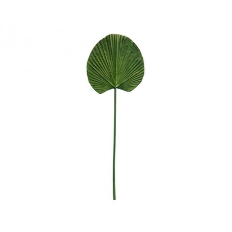 HOJA DE PALMA MACK VERDE (91cm)